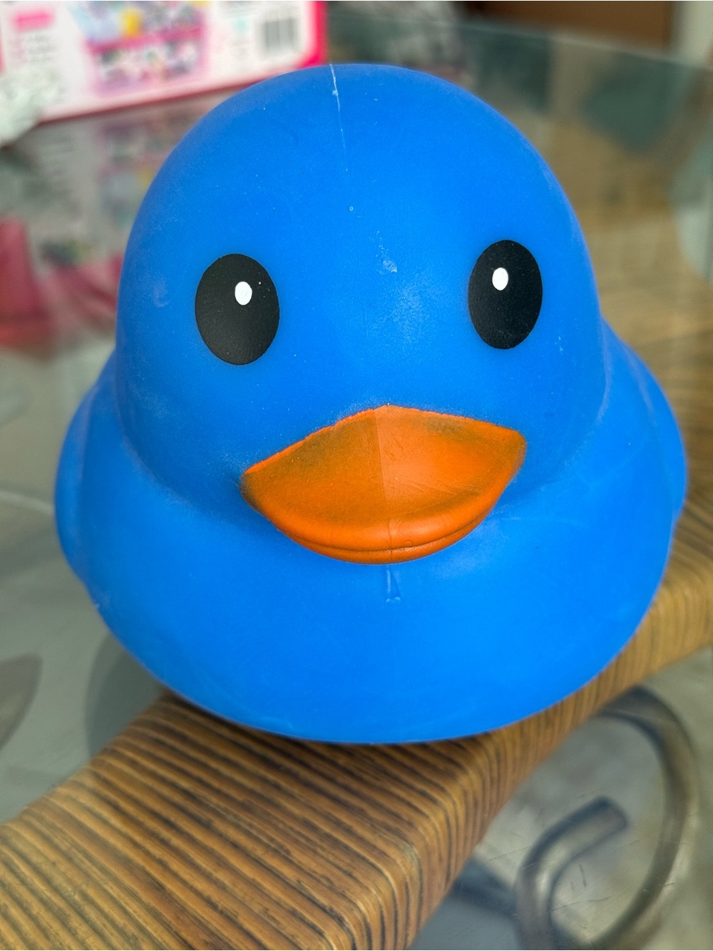 Sunny Days Squeeezy Red Duck